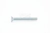 Šroub DIN 965-4,8-H zn M4x6