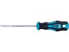 8819246 Šroubovák TORX T20x100mm
