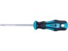 8819247 Šroubovák TORX T25x100 mm