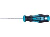 8819244 Šroubovák TORX T10x75mm