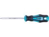 8819248 Šroubovák TORX T27x100mm