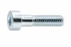 Šroub DIN 7984-8.8 zn
